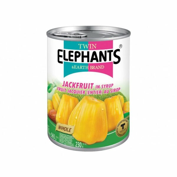 Twin Elephants Jackfruit in Syrup 565 G
