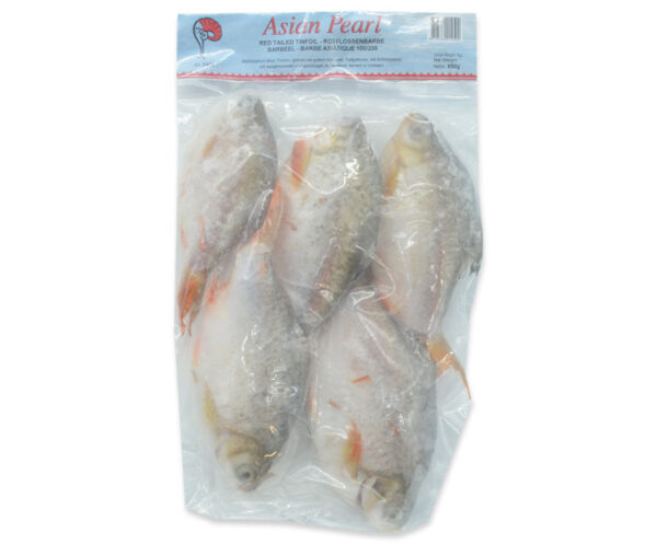 FISH TINFOIL BARB RAW GUTTED DESCALED / CA HE