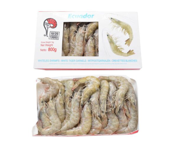 SHRIMP Vannamei shrimps Ecuador 10/20