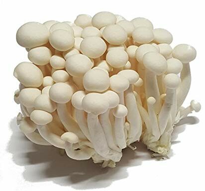 Mushroom White Shimeji 150gr