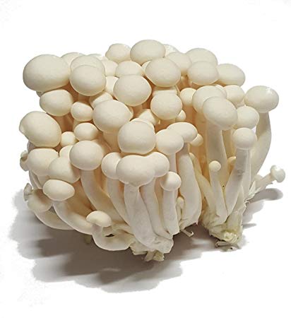 Mushroom White Shimeji 7°C