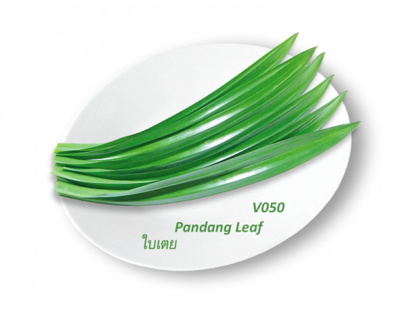 Pandang Leaf / La Dua / ใบเตย