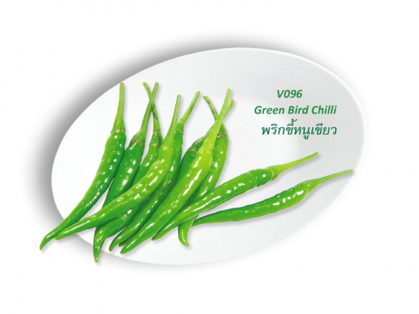 Green bird Chilli / พริกขี้หนูเขียว