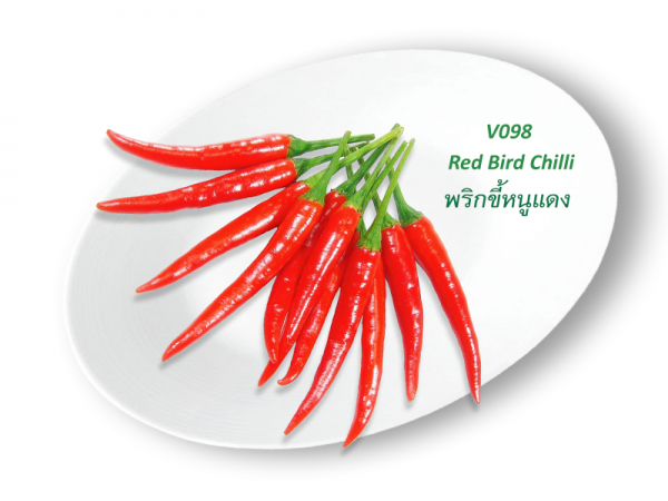 Red Bird Chilli / พริกขี้หนูแดง