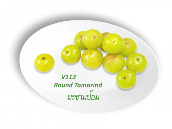 Round Tomarind / มะขามป้อม