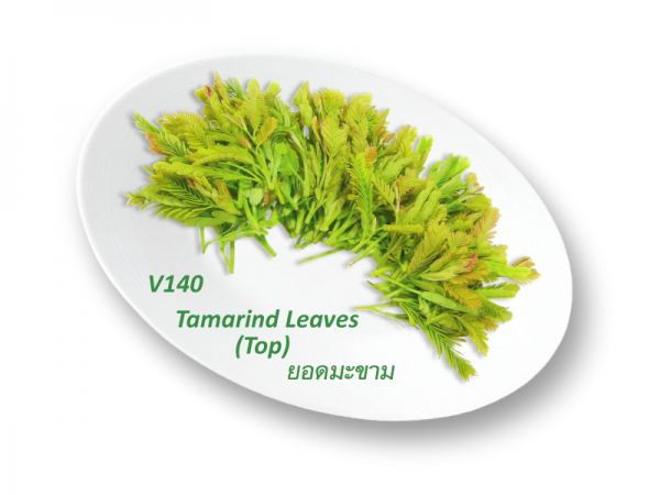 Tamarind Leaves (Top) / ยอดมะขาม