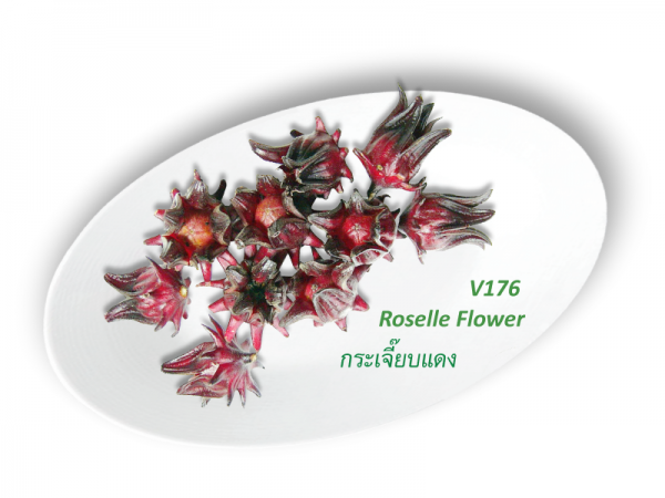 Roselle Flower / กระเจี๊ยบแดง