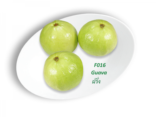 Guava / ฝรั่ง  ( ổi ) / kg