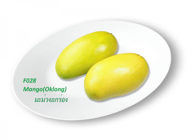 Mango (Oklong) / มะม่วงอกร่อง