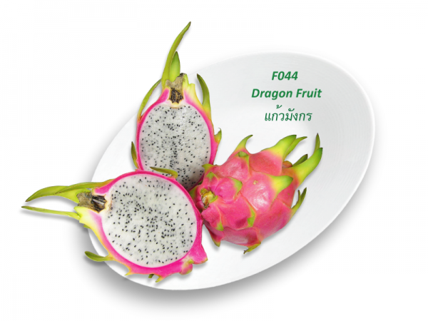 Dragon Fruit / แก้วมังกร  / kg