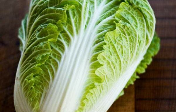 Chinese Cabbage / kg