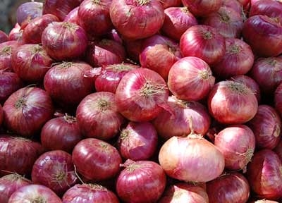 N.L Red Onion 200g