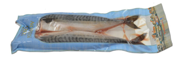 FISH Mackerel raw whole 600g +