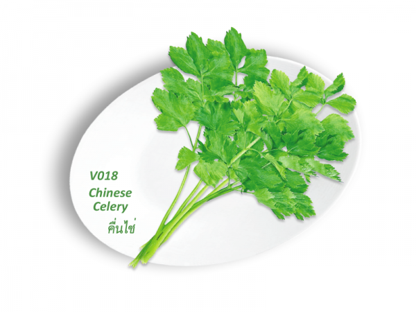 Chinese Celery / คื่นไช่
