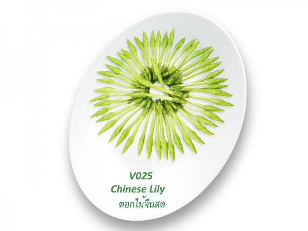 Chinese Lily / ดอกไม้จีนสด