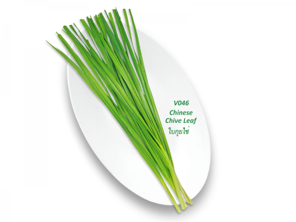 Chinese Chive Leaf / ใบกุยไช่