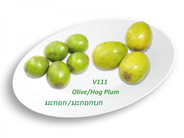 Olive / Hog Plum / มะกอก / มะกอกบก